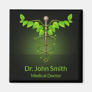Íman Caduceu de Medicina Alternativa Holística Folhas V