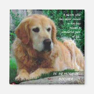 Íman Cães Adorantes