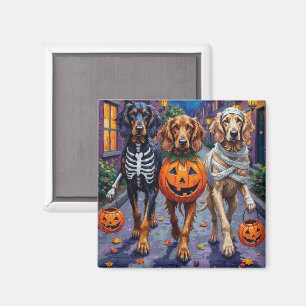 Íman Cães Afghan Hound fazendo Trick-or-Treat no Hallow