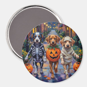 Íman Cães Azawakh em fantasias de Halloween