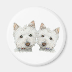 Íman Cães bonitos de Westie