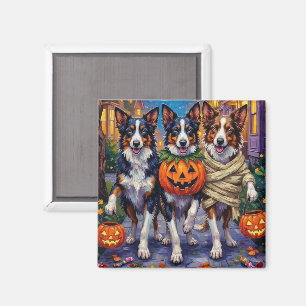 Íman Cães Border Collie pedindo doces ou travessuras no