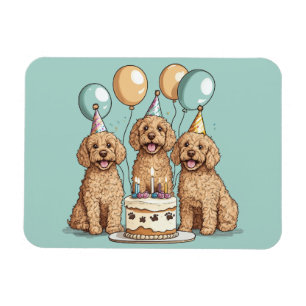 Íman Cães de Goldendoodle de Aniversário