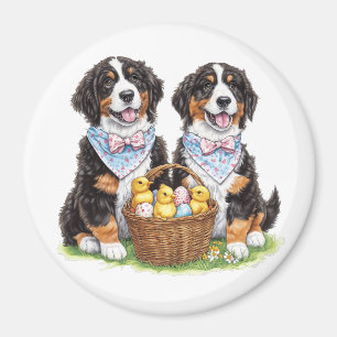 Íman Cães de Montanha Bernese páscoas