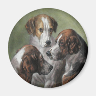 Íman Cães do Fox
