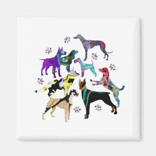 Íman Cães e patas