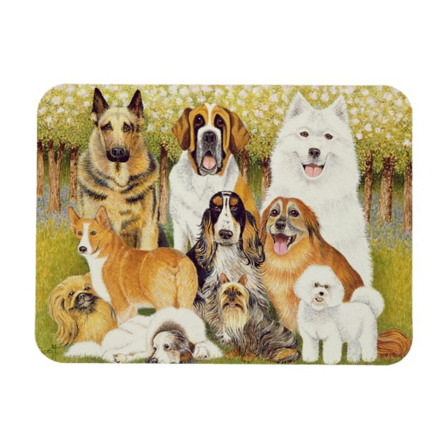 Íman Cães em maio (Horizontal)