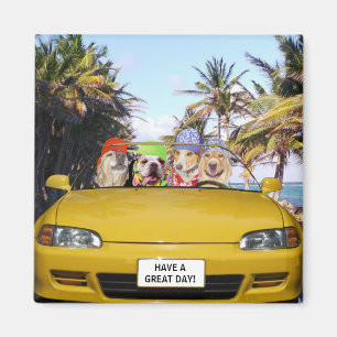 Íman Cães engraçados customizáveis no Convertible