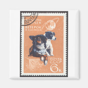 Íman Cães espaciais russos 1966 Cosmos 110