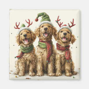 Íman Cães Golden Retriever de Natal