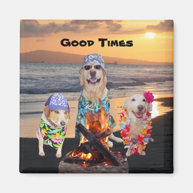 Íman Cães na praia em Sunset (Frente)