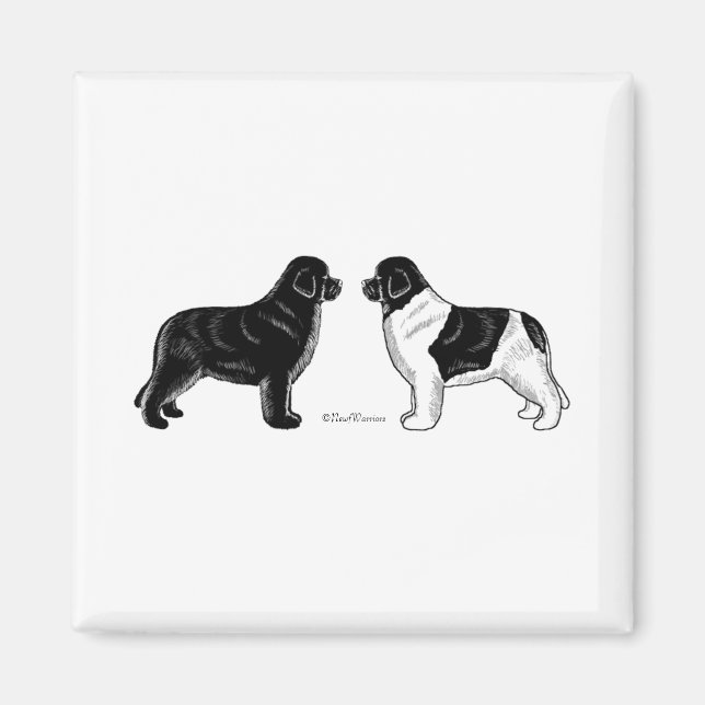 Íman Cães Negros e Landseer da Terra Nova (Frente)