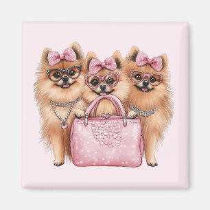 Íman Cães Pomeranianos Fashionáveis, Bolsa Rosa