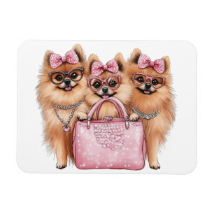 Íman Cães Pomeranianos Fashionáveis, Bolsa Rosa