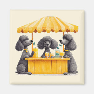 Íman Cães Poodle Padrão Administrando uma Loja de Limon