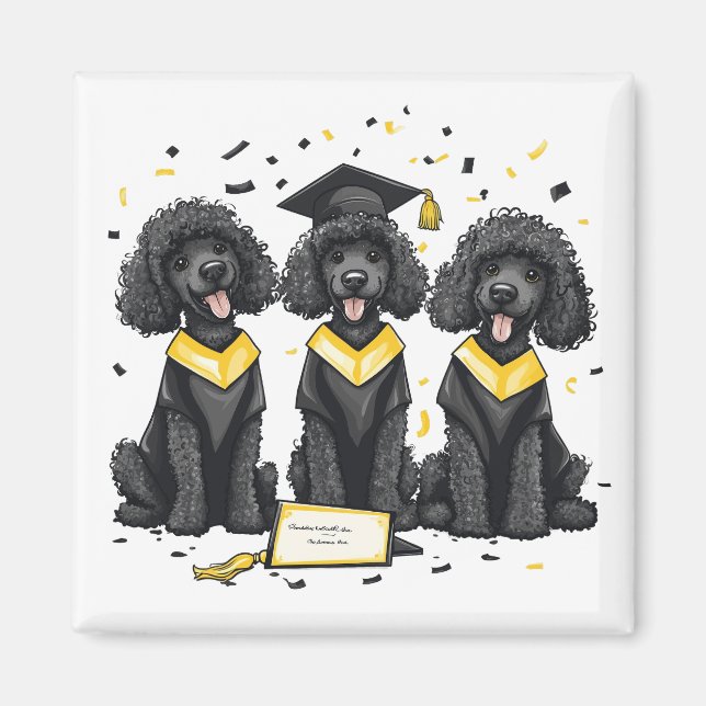 Íman Cães Poodle Padrão De Graduação (Frente)