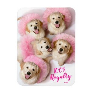 Íman Cães Princesas em Tiaras