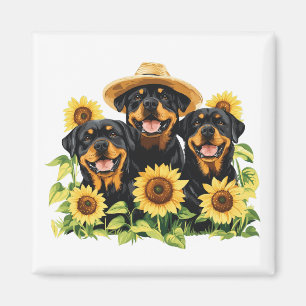 Íman Cães Rottweiler Cercados Por Girassóis
