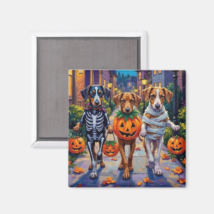 Íman Cães Silken Windhound em Fantasias de Halloween