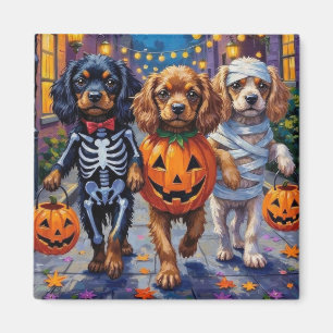 Íman Cães Spaniel Tibetano em Fantasias de Halloween
