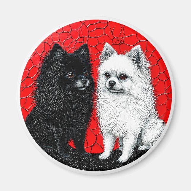 Íman cães spitz japoneses (Frente)