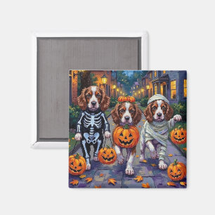 Íman Cães Springer Spaniel em Fantasias de Halloween