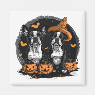 Íman Cães Terrier de Boston Halloween