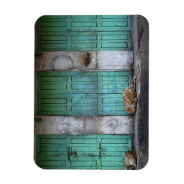 Íman Cães vadios em frente a portas com íman retangular