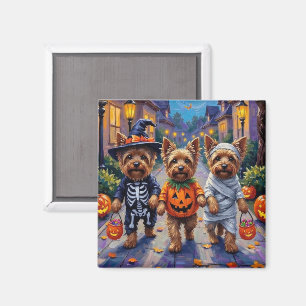 Íman Cães Yorkshire Terrier com Fantasias de Halloween