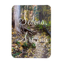 Cai sobre a trilha West Fork em Sedona, Arizona