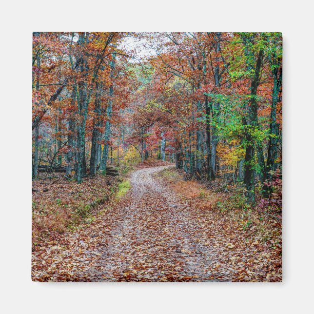 Íman Cair na Estrada da Camisa (Frente)