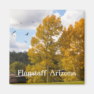 Íman Cair no Flagstaff Arizona Magnet