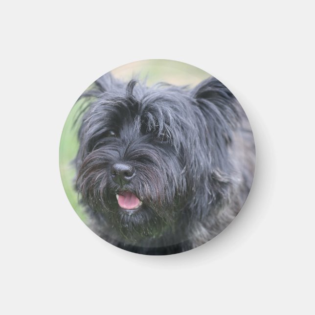 Íman Cairn (Frente)