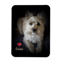 Cairn Terrier "Dog Lover" - Magneta flexível