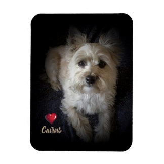 Íman Cairn Terrier "Dog Lover" - Magneta flexível