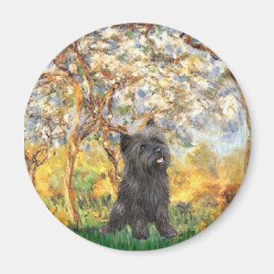 Íman Cairn Terrier (Listrado 21) - Primavera
