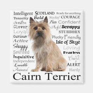 Íman Cairn Terrier Traits Magnet