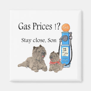 Íman Cairn Terriers Preços da Gasolina ?!!