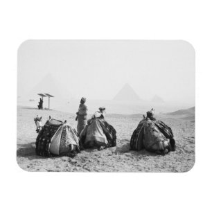 Íman Cairo Egito, Cavaleiros de Camelo Pirâmides de Giz