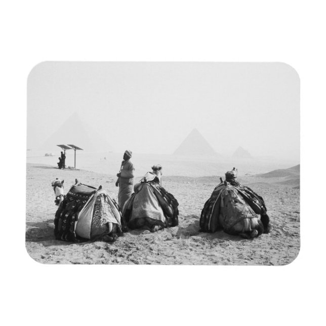 Íman Cairo Egito, Cavaleiros de Camelo Pirâmides de Giz (Horizontal)