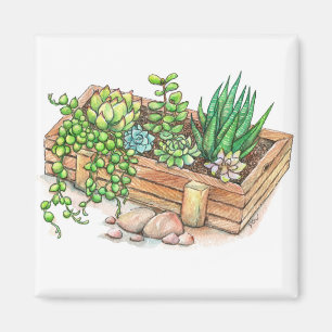 Íman Caixa do plantador do Succulent