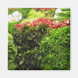 Íman caixa verde de folha vegetal