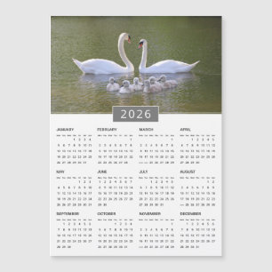 Íman Calendar 2026 Swan & Cygnets
