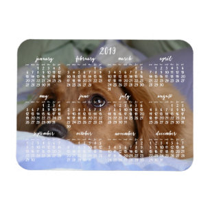 Íman Calendário 2019 do golden retriever com ímã da