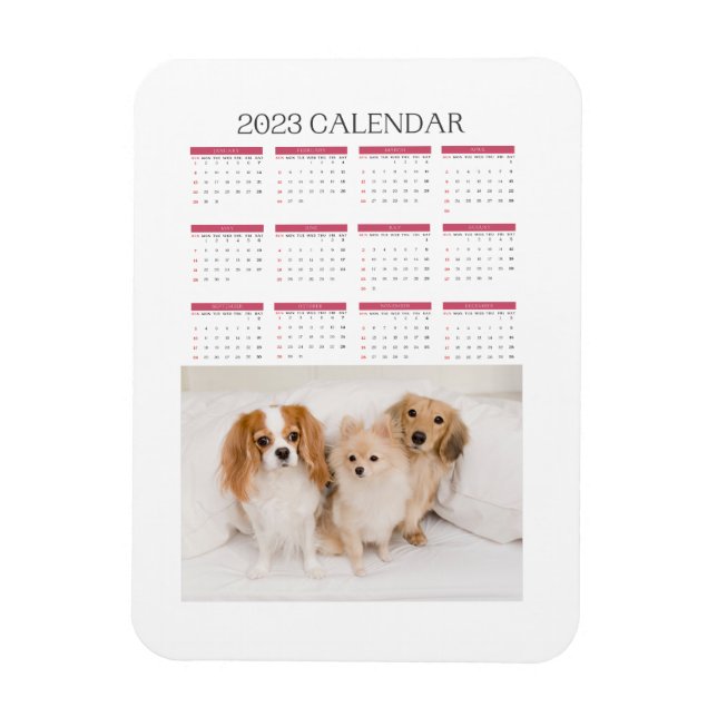 Íman calendário 2023 mignon chiens (Vertical)