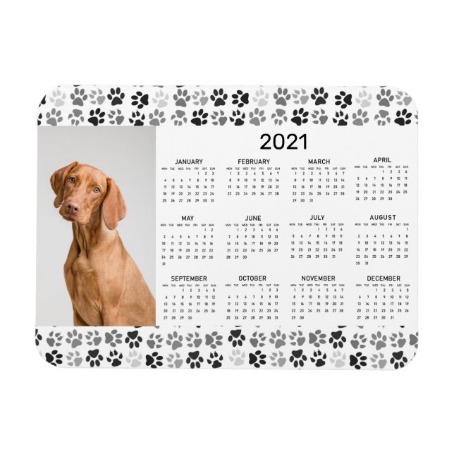 Íman Calendário Anual de 2021 Foto Cachorro Gato Patas (Horizontal)