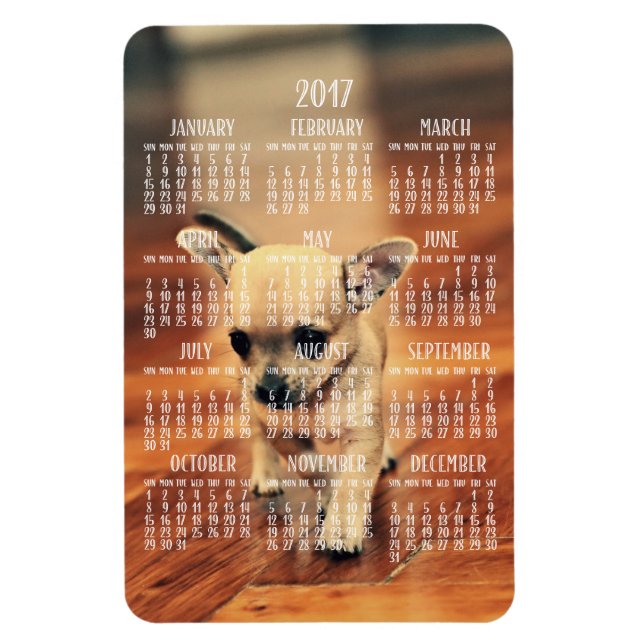 Íman Calendário Chihuahua 2017 Foto Magnet 4x6 Grande (Vertical)