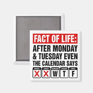 Íman Calendário da Vida Diz Humor WTF