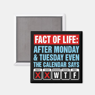 Íman Calendário da Vida Diz Humor WTF