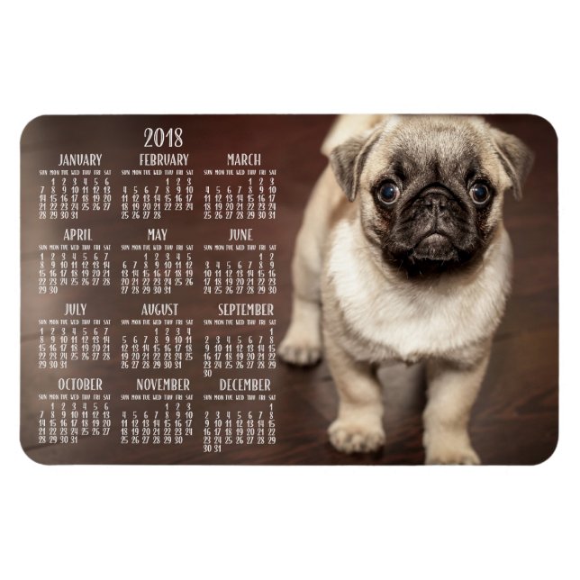 Íman Calendário de cães 2018 Foto grande Magnet 4x6 (Horizontal)